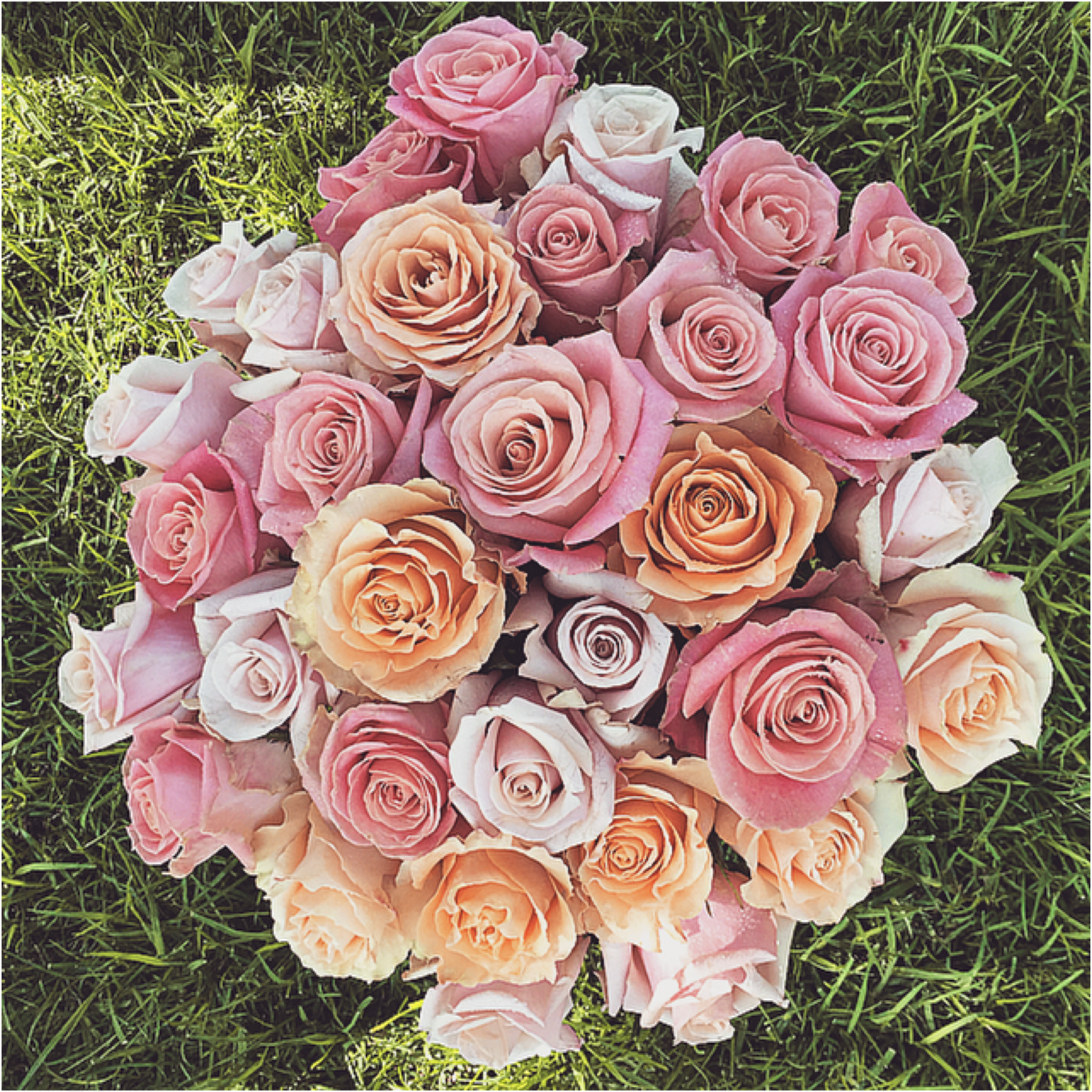 The Rose Swirl Arrangement